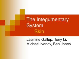 the integumentary system chapter 7 review sheet the integumentary system chapter 7 review sheet