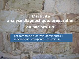 L’activité analyse diagnostique, préparation du bac pro IPB