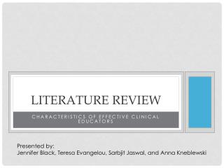 Literature review