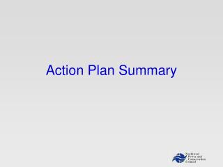 Action Plan Summary
