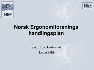 Norsk Ergonomiforenings handlingsplan