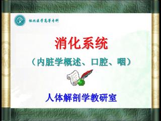 消化系统 （内脏学概述、口腔、咽）