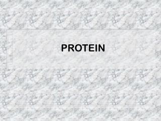 PROTEIN