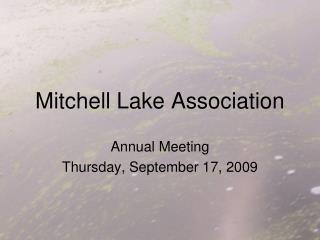 Mitchell Lake Association