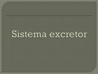 Sistema excretor