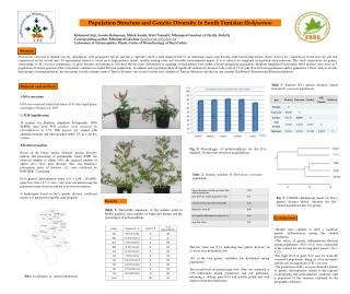 Population Structure and Genetic Diversity in South Tunisian Hedysarum