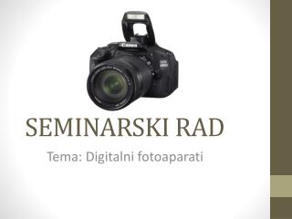 SEMINARSKI RAD