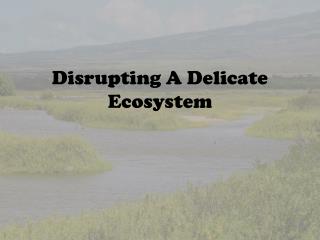 Disrupting A Delicate Ecosystem