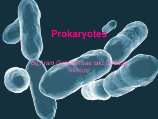 Prokaryotes