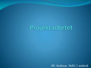 Projektarbetet