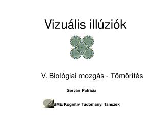 Vizuális illúziók