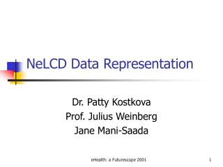 NeLCD Data Representation