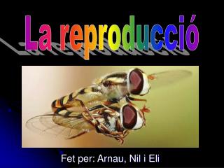 Fet per: Arnau, Nil i Eli