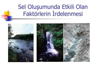 Sel Oluşumunda Etkili Olan Faktörlerin İrdelenmesi