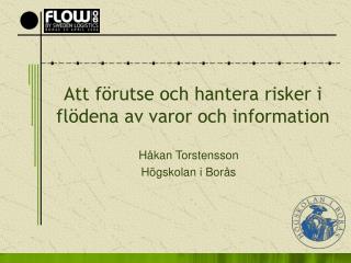 Att förutse och hantera risker i flödena av varor och information