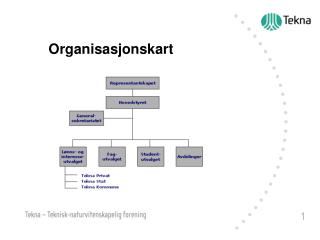 Organisasjonskart