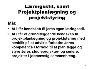 Læringsstil, samt Projektplanlægning og projektstyring