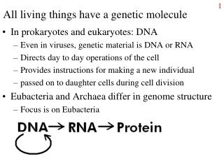 All living things have a genetic molecule