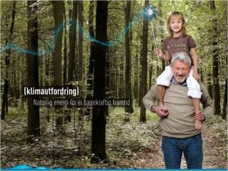 Grønne sertifikater – energitilgang Snåsa 13.10.2011, Nils Arne Nes