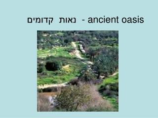 נאות קדומים - ancient oasis