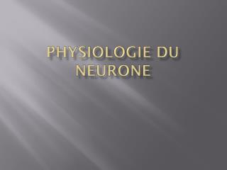 Physiologie du neurone