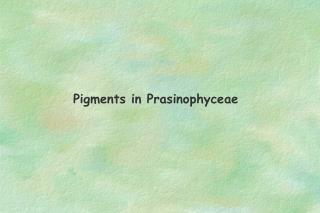 Pigments in Prasinophyceae