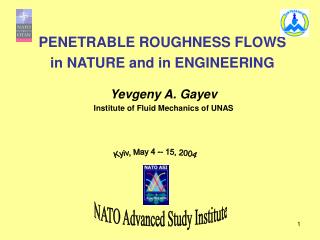 PENETRABLE ROUGHNESS FLOWS in NATURE and in ENGINEERING