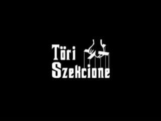 Magyarország a modernizáció útján