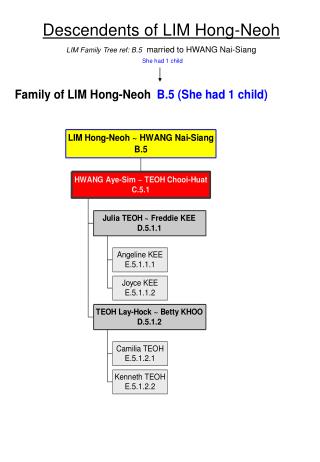 Descendents of LIM Hong-Neoh LIM Family Tree ref: B.5 married to HWANG Nai-Siang She had 1 child
