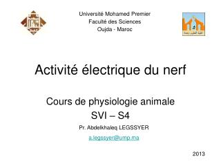 Activité électrique du nerf