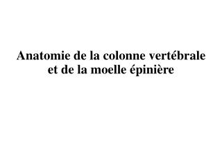 Anatomie de la colonne vertébrale et de la moelle épinière