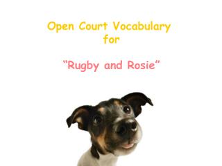 Open Court Vocabulary for