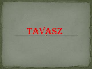 Tavas z