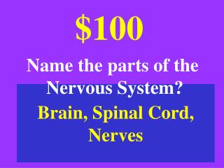 Brain, Spinal Cord, Nerves
