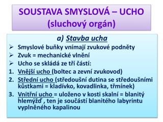 SOUSTAVA SMYSLOVÁ – UCHO (sluchový orgán)