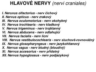 I. Neruvus olfactorius - nerv čichový II. Nervus opticus - nerv zrakový