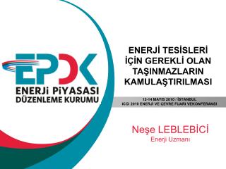 Neşe LEBLEBİCİ Enerji Uzmanı