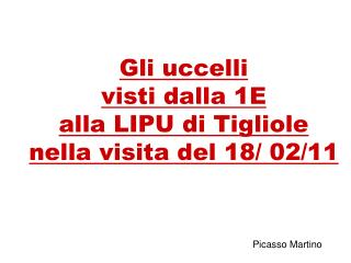 Gli uccelli visti dalla 1E alla LIPU di Tigliole nella visita del 18/ 02/11