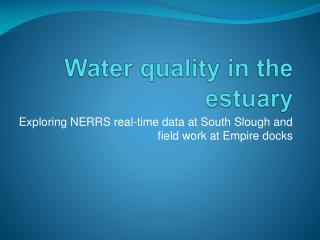 Water quality in the estuary