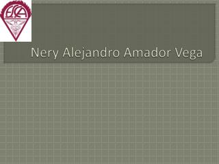 Nery Alejandro Amador Vega