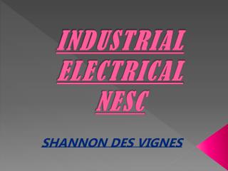 INDUSTRIAL ELECTRICAL NESC