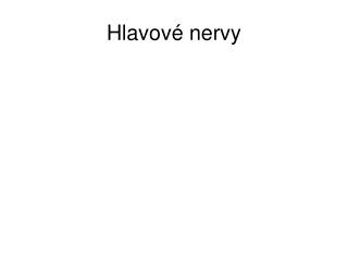 Hlavové nervy