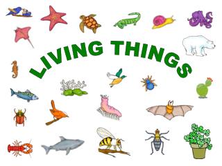 LIVING THINGS