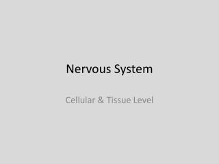 Nervous System