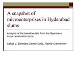 A snapshot of microenterprises in Hyderabad slums