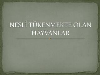 NESLİ TÜKENMEKTE OLAN HAYVANLAR