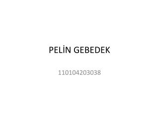 PELİN GEBEDEK