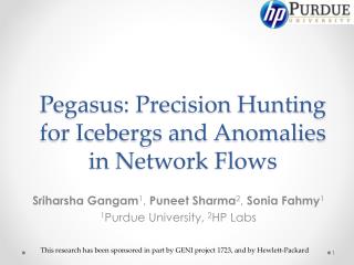 Pegasus: Precision Hunting for Icebergs and Anomalies in Network Flows