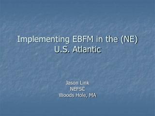 Implementing EBFM in the (NE) U.S. Atlantic