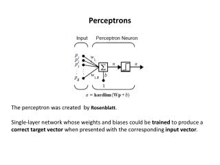 Perceptrons